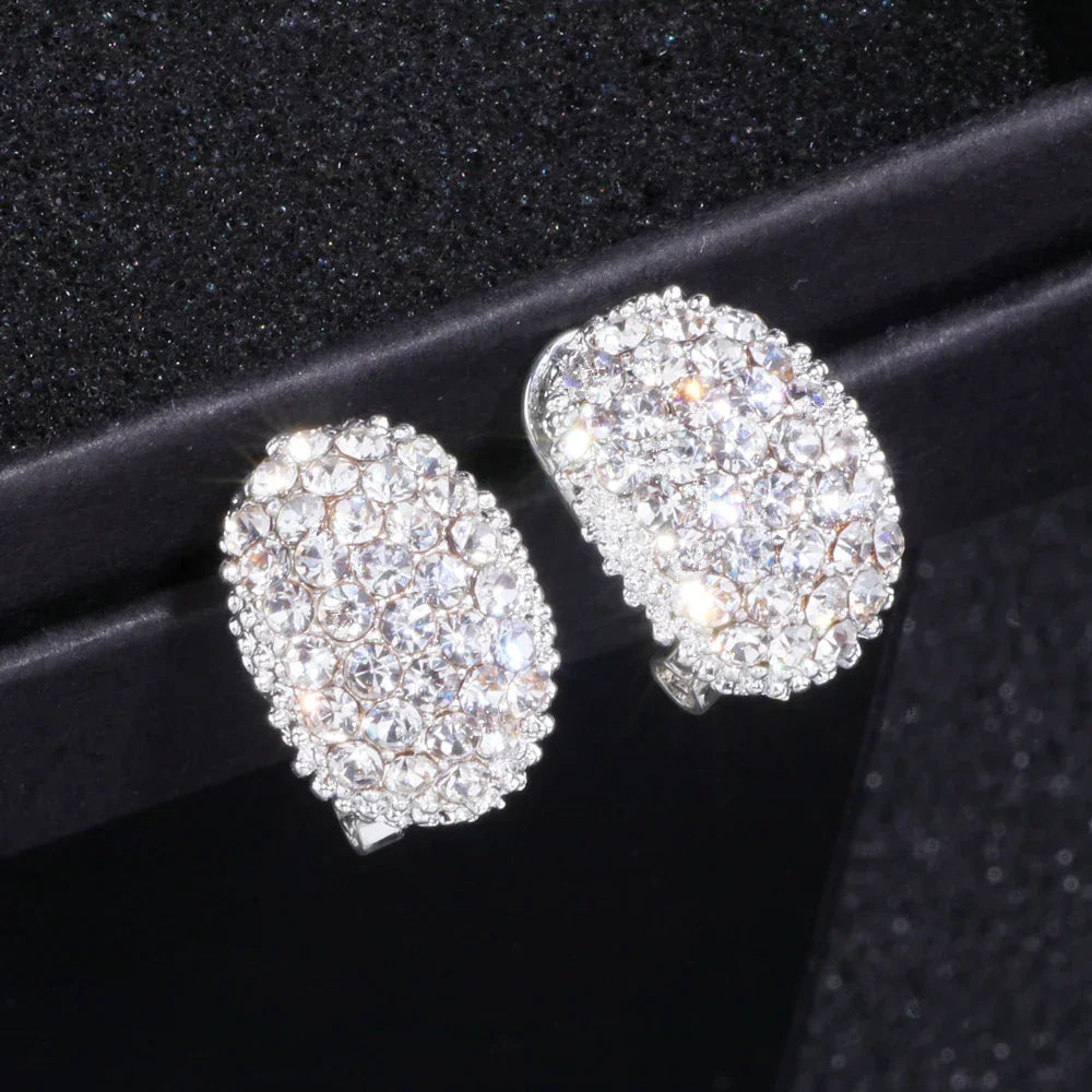 Romantic AAA Cubic Zirconia Stone Stud Earrings