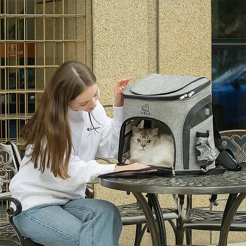 Collapsible Pet Backpack