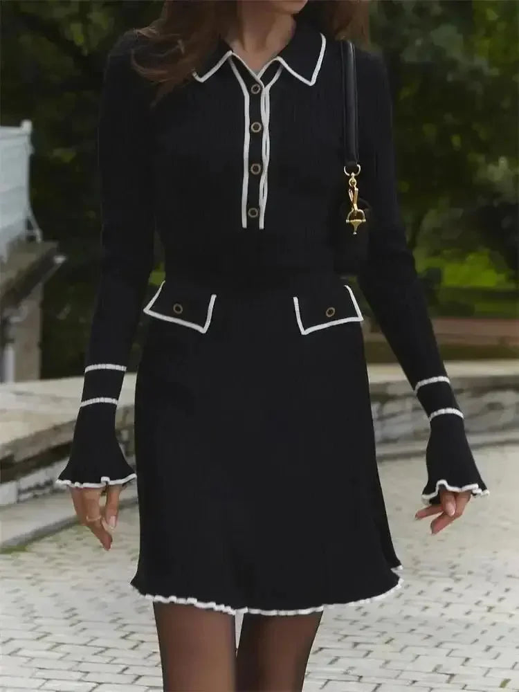 Elegant Long Sleeve Mini Dress