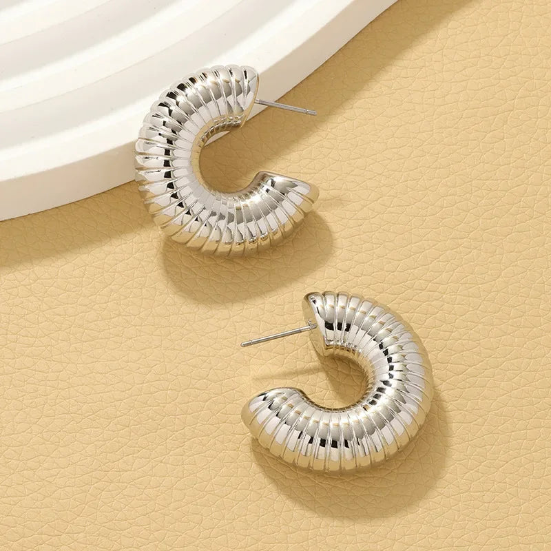 Trendy Circle Twists Hoop Earring for Women Simple Temperament Hyperbole Gold Color Ear Daily Wear Jewelry Party Gifts
