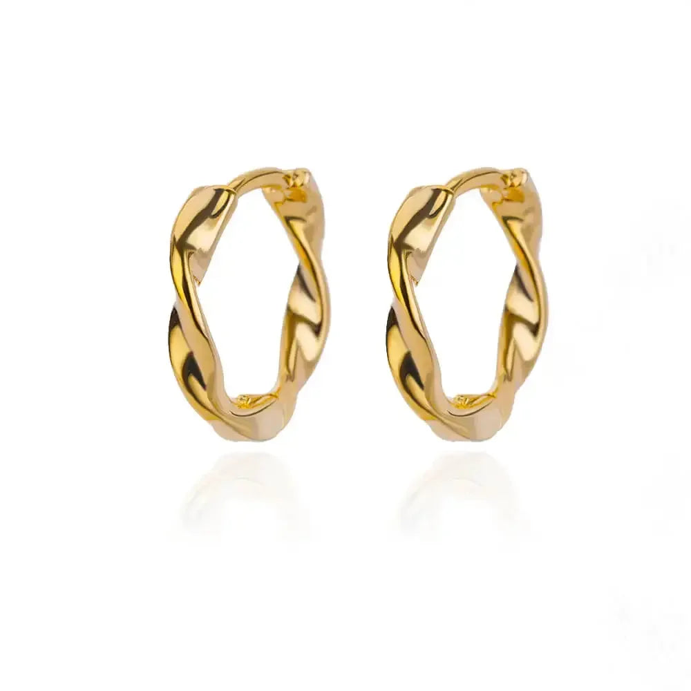 Lux Diva Stainless Steel Hoop Earrings
