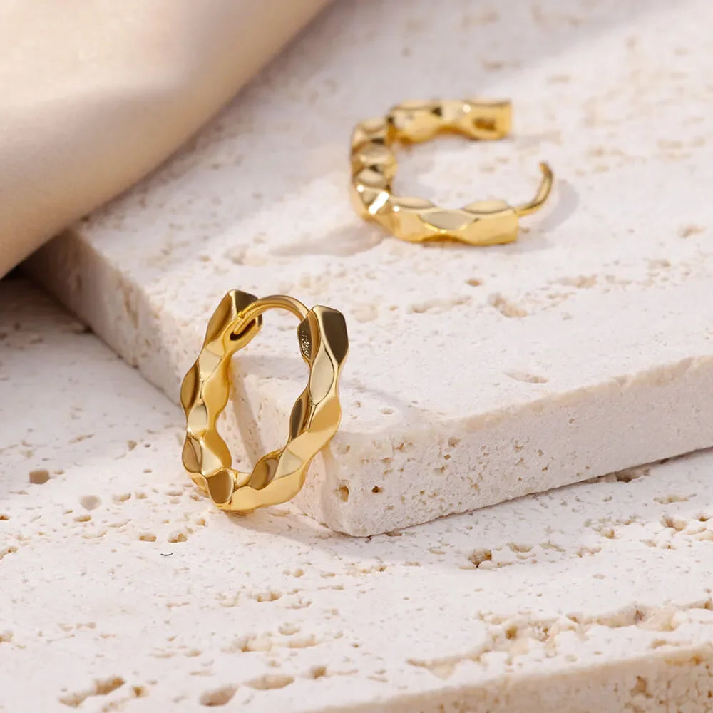 Lux Diva Stainless Steel Hoop Earrings