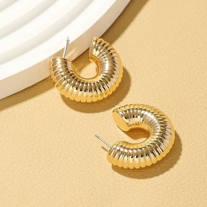 Trendy Circle Twists Hoop Earring for Women Simple Temperament Hyperbole Gold Color Ear Daily Wear Jewelry Party Gifts