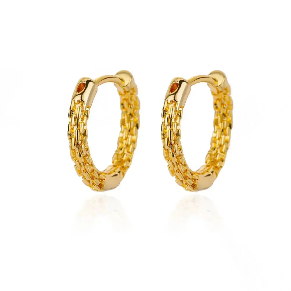 Lux Diva Stainless Steel Hoop Earrings
