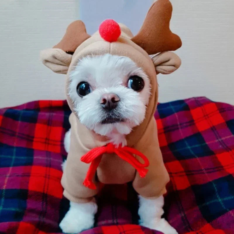 Christmas Pet Clothes