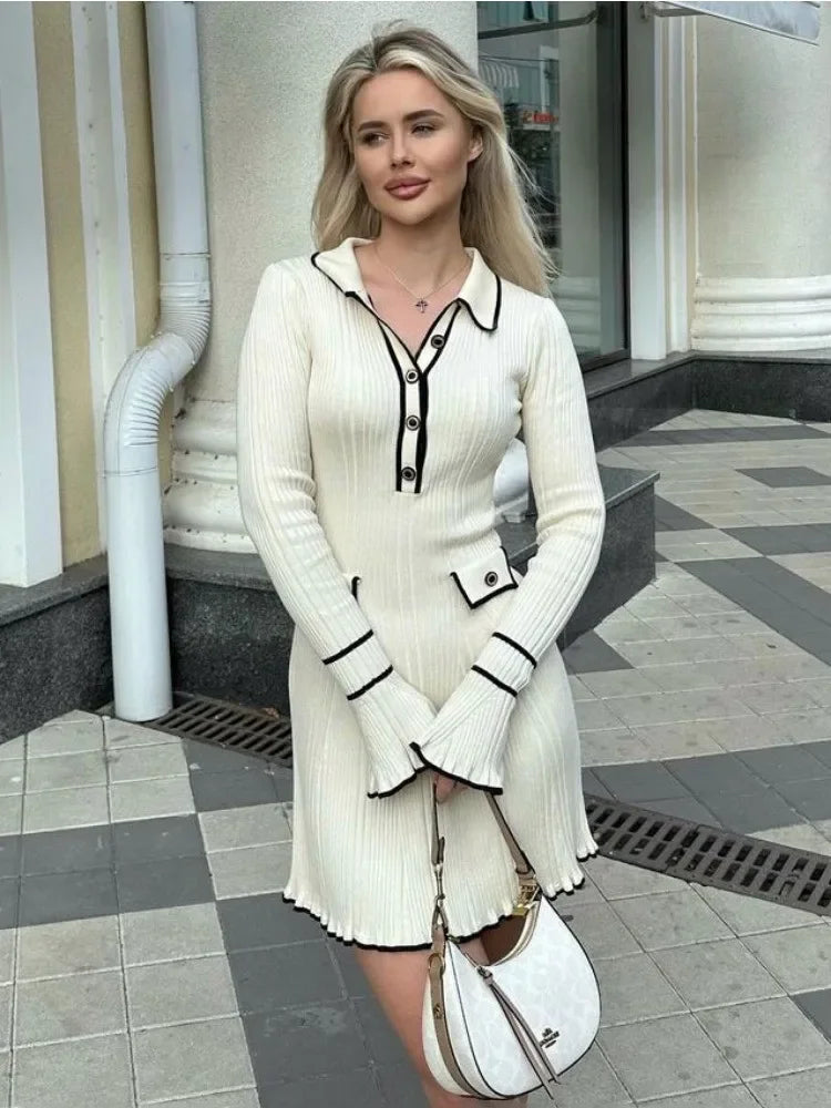 Elegant Long Sleeve Mini Dress
