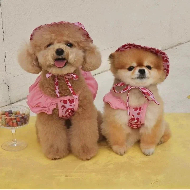 Palm Beach Pup Swimsuit