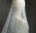 Precious Pearl Bridal Veil With Hair Clip