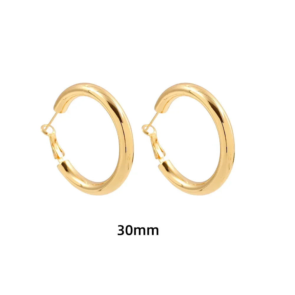 New Trendy Geometric Twisted Thick Hoop Earrings Fashion Gold Color Big Round Circle Earrings for Women Punk Hiphop Jewelry Gift