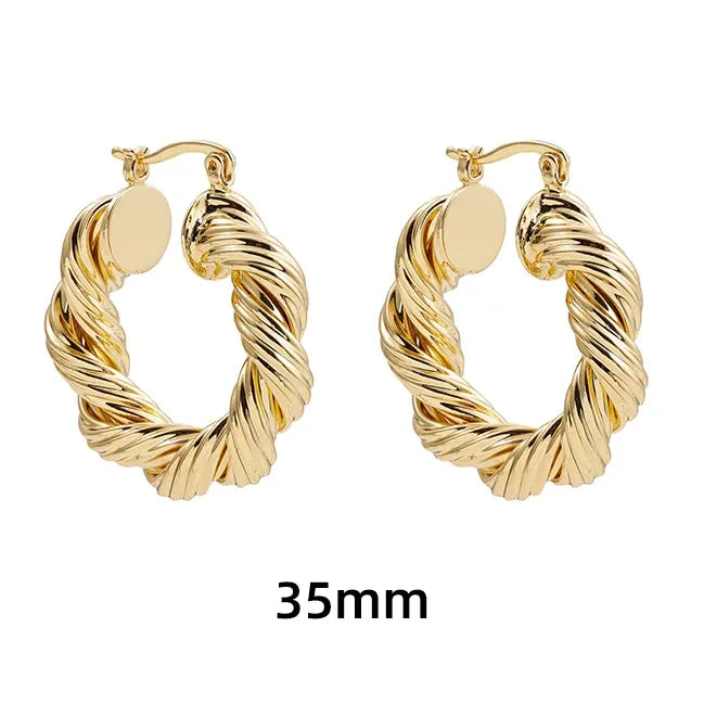 New Trendy Geometric Twisted Thick Hoop Earrings Fashion Gold Color Big Round Circle Earrings for Women Punk Hiphop Jewelry Gift