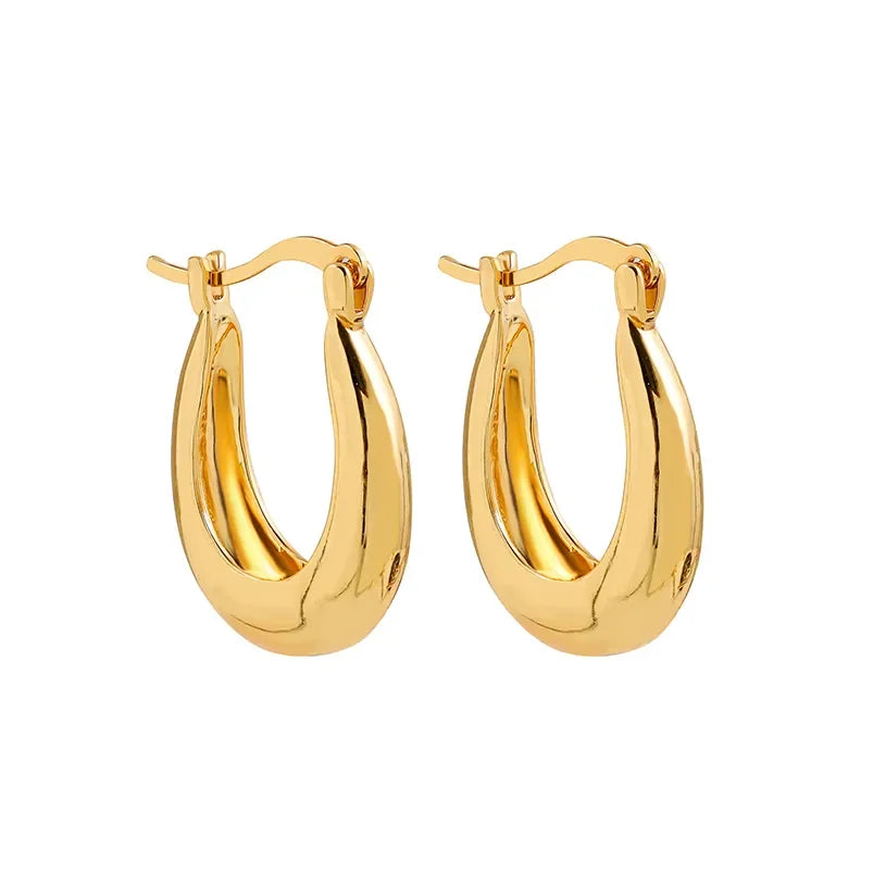 New Trendy Geometric Twisted Thick Hoop Earrings Fashion Gold Color Big Round Circle Earrings for Women Punk Hiphop Jewelry Gift