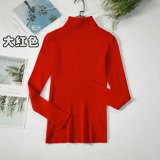 Soft Ribbed Turtleneck Sweater