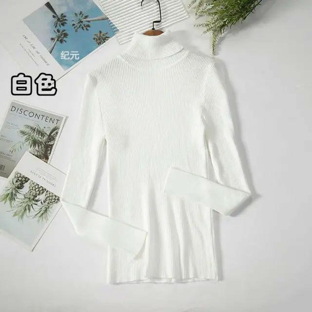 Soft Ribbed Turtleneck Sweater