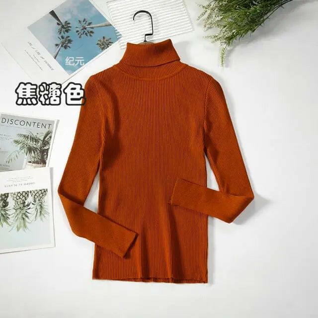 Soft Ribbed Turtleneck Sweater